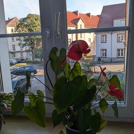 Apartament Na Klodzkiej Duszniki Zdrój Exterior foto